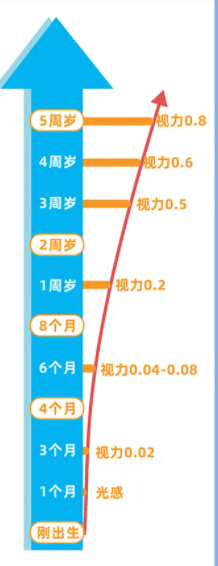 202106021536593537.png