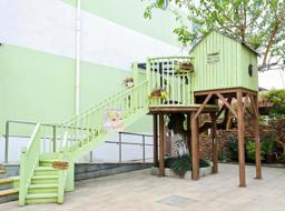 你想来树屋玩玩吗？