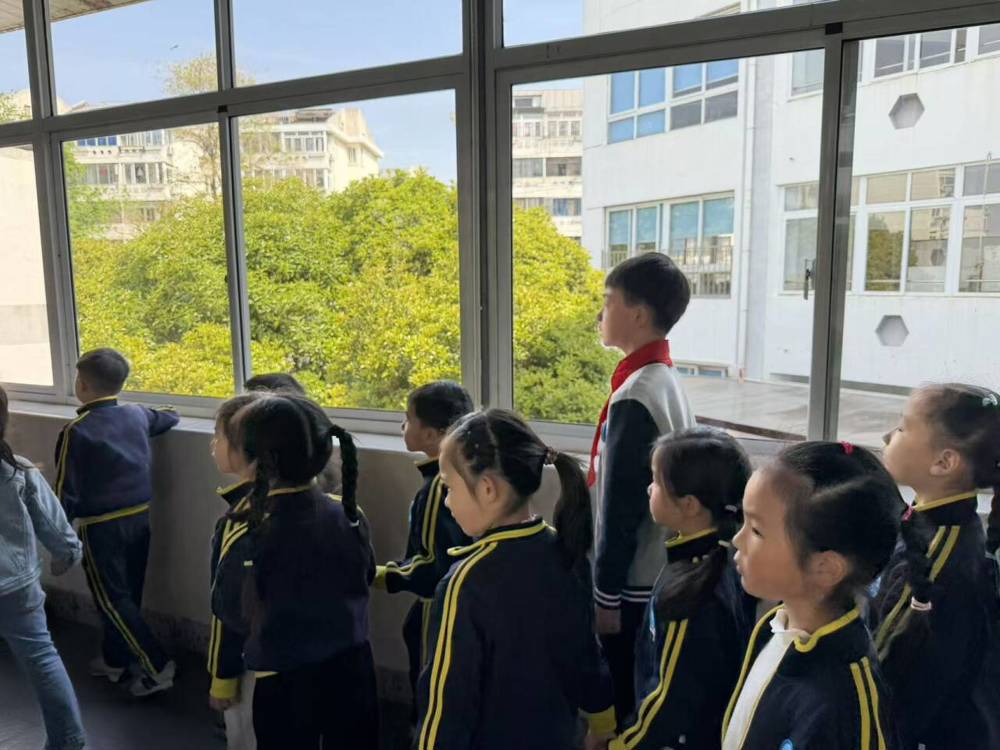 4d120180980c0089ce6f615b45921a16_720